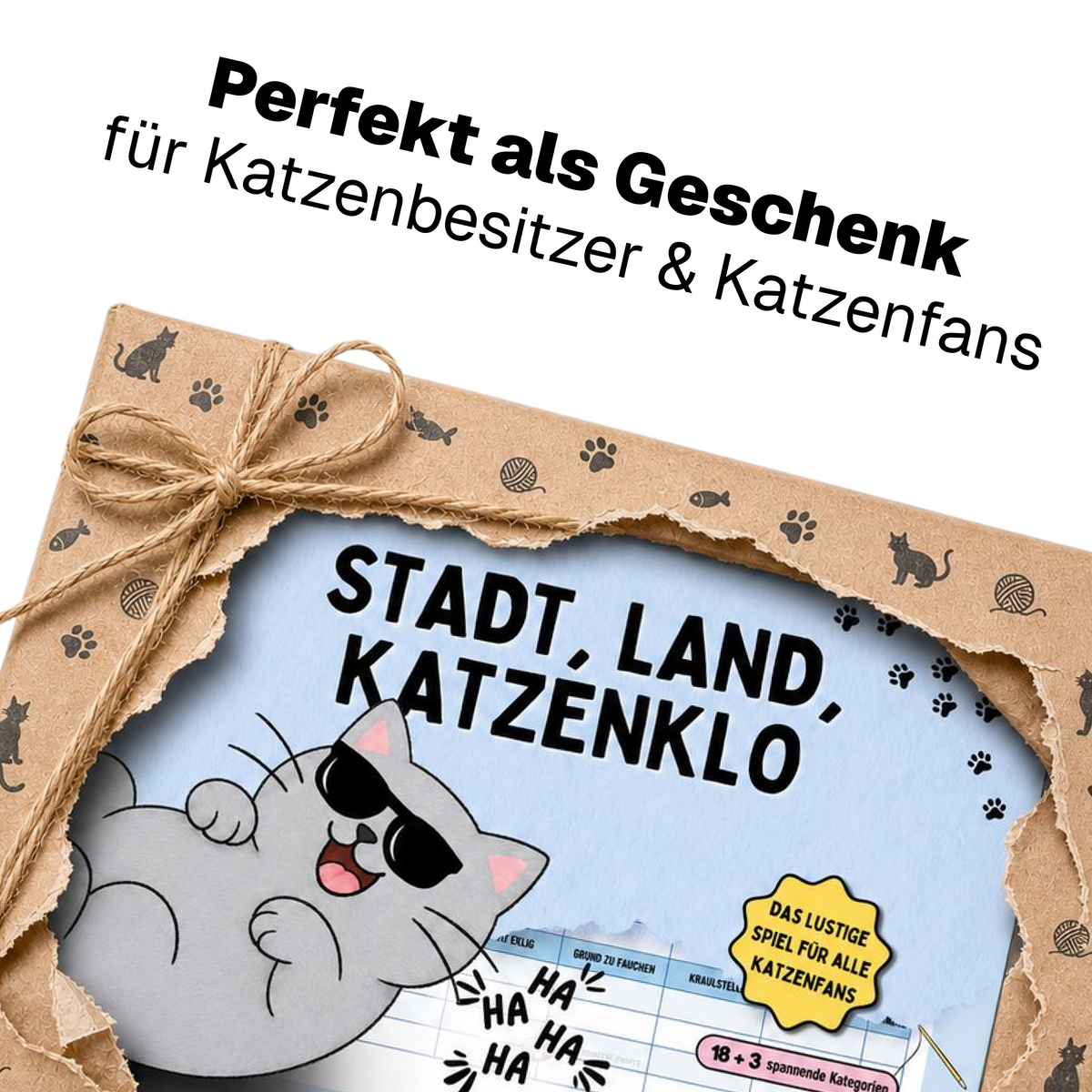 Stadt, Land, Katzenklo als Geschenk verpackt – für Katzenbesitzer und Katzenfans