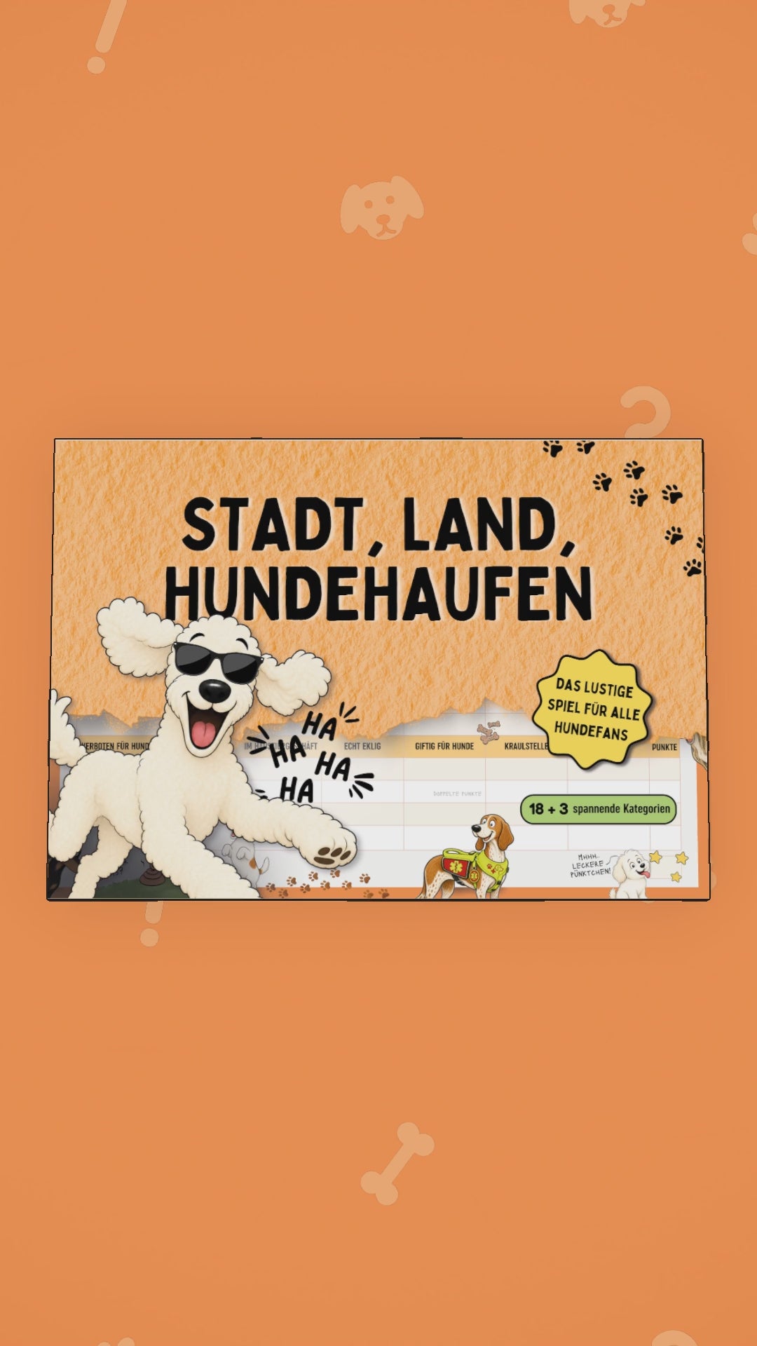 Holly Spielblöcke Stadt, Land, Hundehaufen und Stadt, Land, Katzenklo